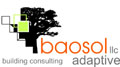 baosol Logo